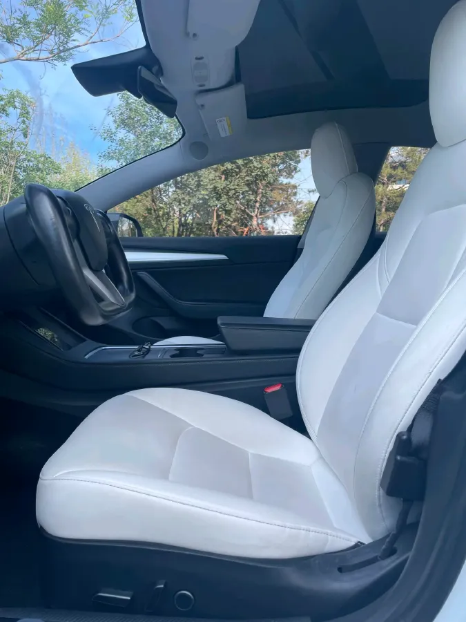 2021 Tesla Model 3 BEV 55KWH,autocango,china used car exporter,china ev exporter,chinese used car exporter,chinese used ev exporter