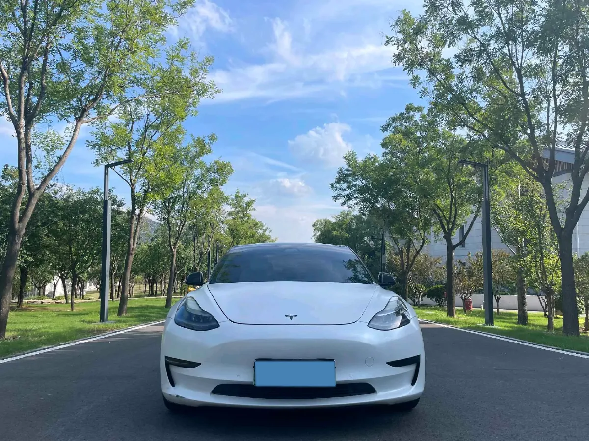 2021 Tesla Model 3 BEV 55KWH,autocango,china used car exporter,china ev exporter,chinese used car exporter,chinese used ev exporter