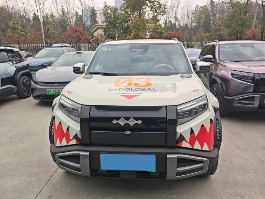 2025 FangChengBao Tai 3 BEV,autocango,china used car exporter,china ev exporter,chinese used car exporter,chinese used ev exporter