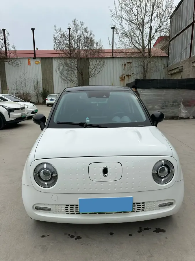 2022 Ora BlackCat BEV 28.5KWH,autocango,china used car exporter,china ev exporter,chinese used car exporter,chinese used ev exporter