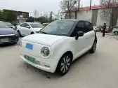 2022 ORA BLACKCAT,autocango,china used car exporter,china ev exporter,chinese used car exporter,chinese used ev exporter