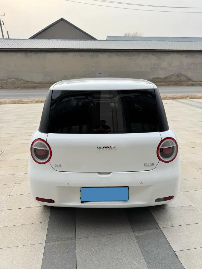 2024 ChangAn QiYuan Lumin BEV 13.41KWH,autocango,china used car exporter,china ev exporter,chinese used car exporter,chinese used ev exporter