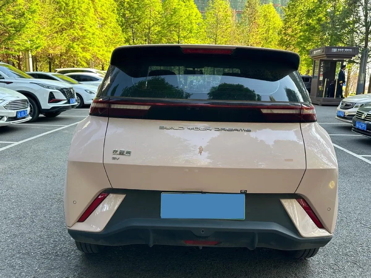 2023 BYD Seagull BEV 30.08KWH,autocango,china used car exporter,china ev exporter,chinese used car exporter,chinese used ev exporter