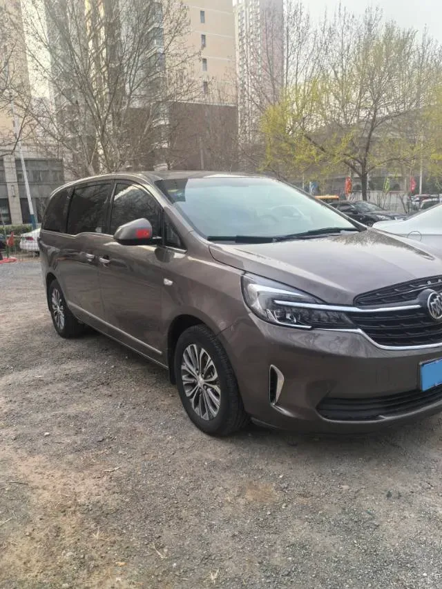 2020 Buick GL8 2.0T 237HP L4 9AT,autocango,china used car exporter,china ev exporter,chinese used car exporter,chinese used ev exporter