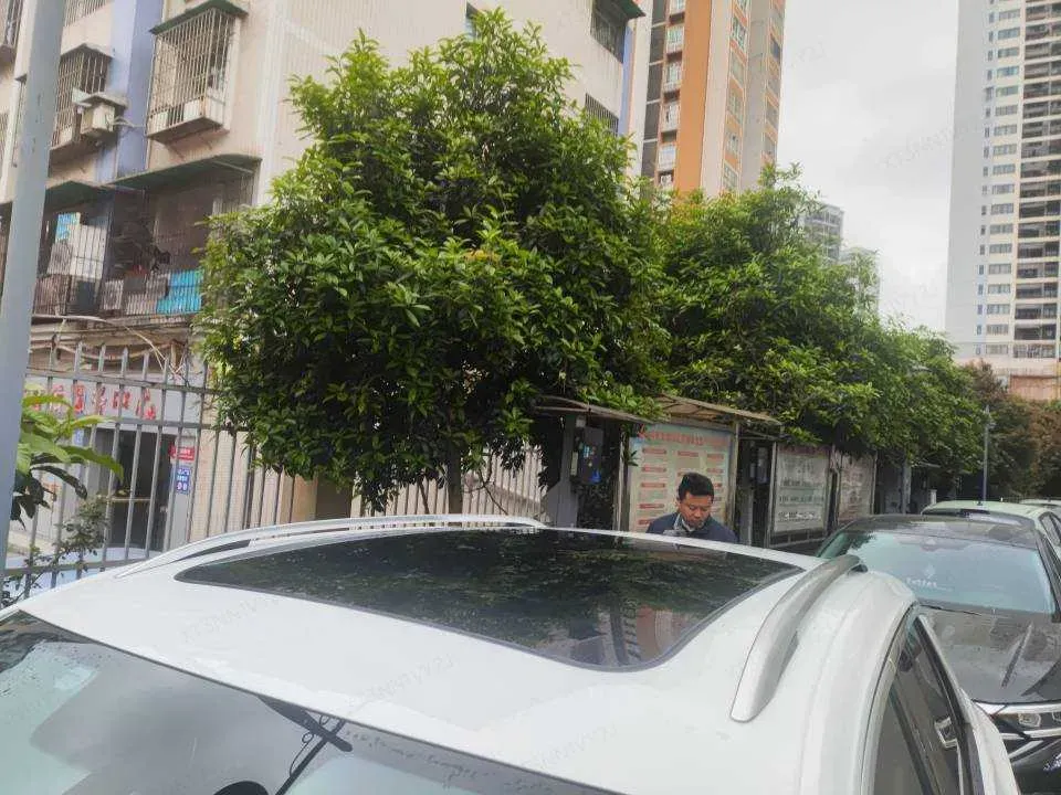 2021 Volkswagen T-Roc 1.4T 150HP L4 7DCT,autocango,china used car exporter,china ev exporter,chinese used car exporter,chinese used ev exporter