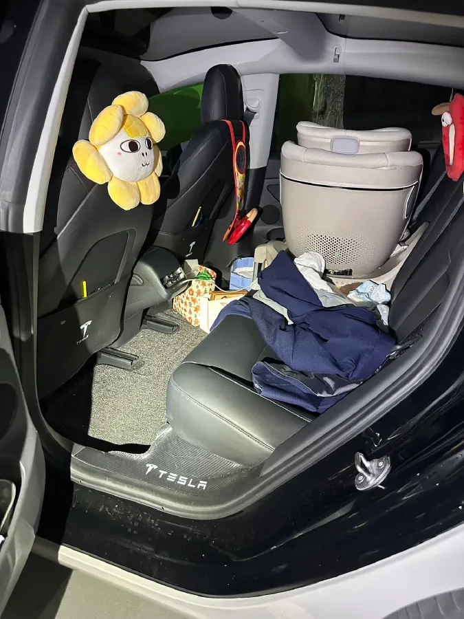 2021 Tesla Model 3 BEV 55KWH,autocango,china used car exporter,china ev exporter,chinese used car exporter,chinese used ev exporter