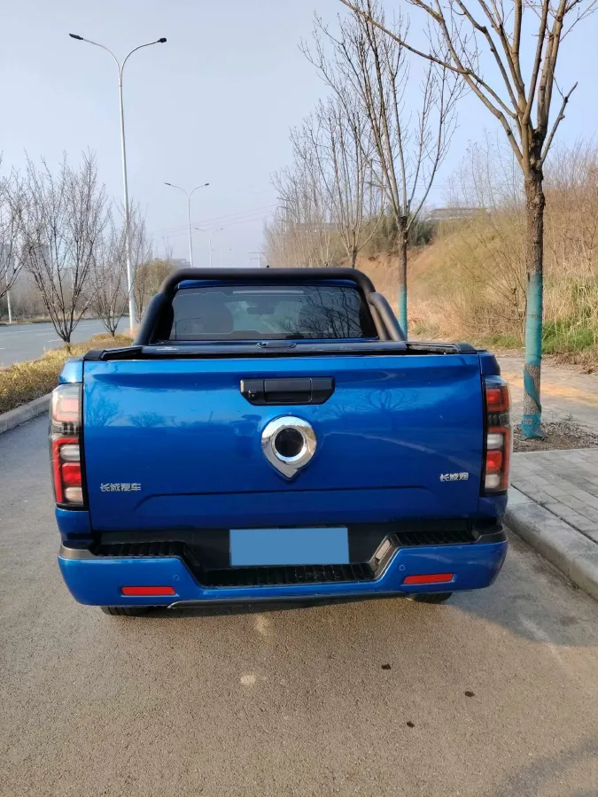 2023 Great Wall Poer 2.0T 166HP L4 8AT,autocango,china used car exporter,china ev exporter,chinese used car exporter,chinese used ev exporter
