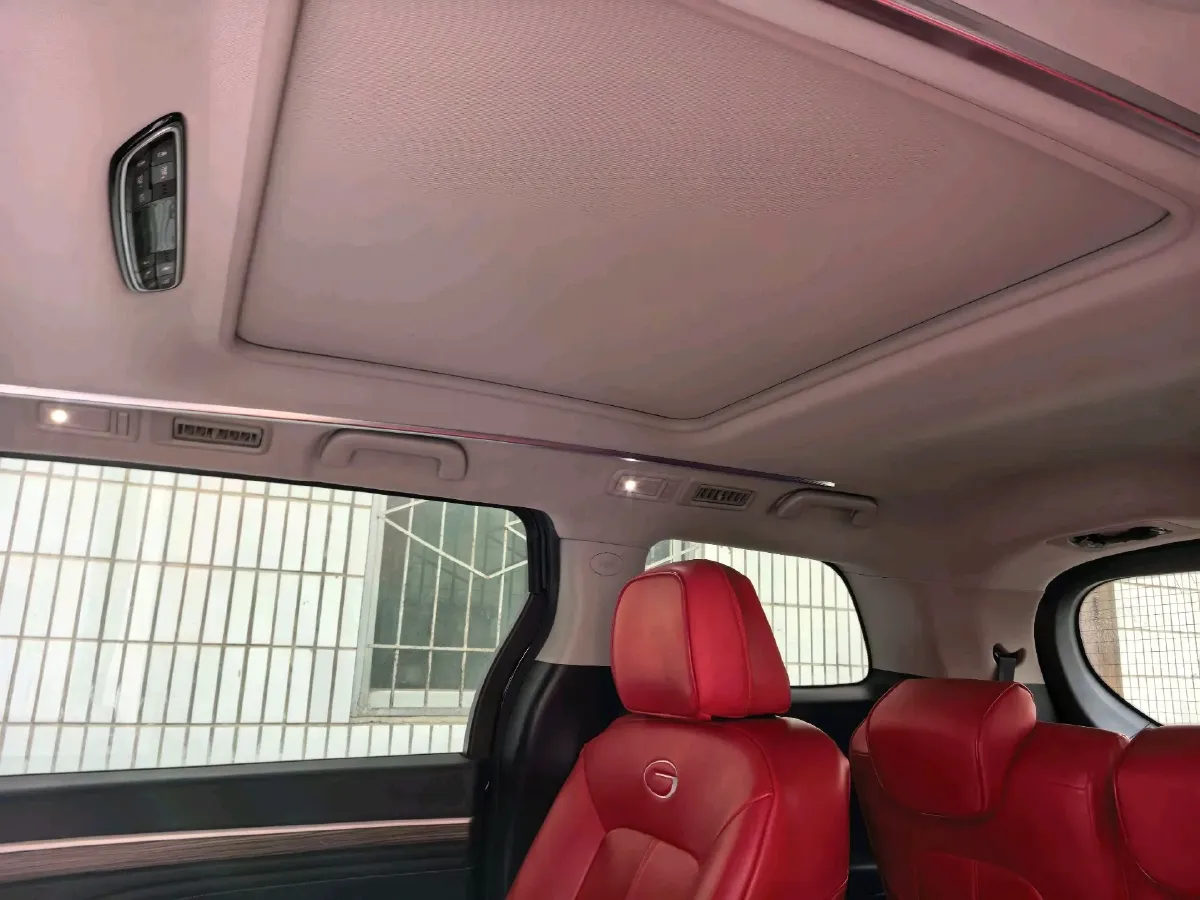 2021 GAC Trumpchi M8 2.0T 252HP L4 8AT,autocango,china used car exporter,china ev exporter,chinese used car exporter,chinese used ev exporter