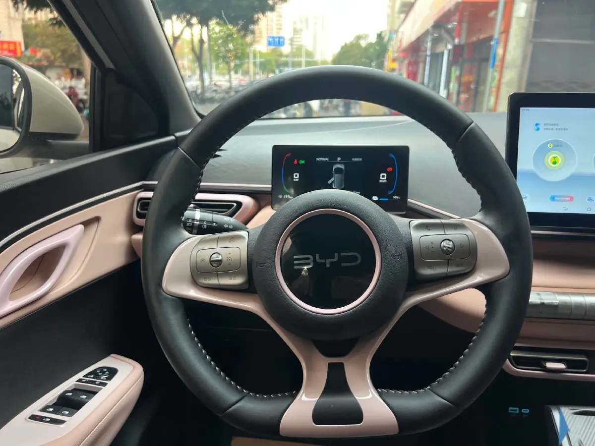 2023 BYD Seagull BEV 30.08KWH,autocango,china used car exporter,china ev exporter,chinese used car exporter,chinese used ev exporter