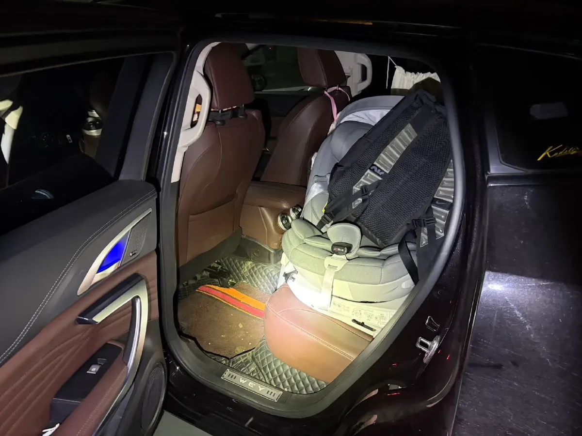 2020 WEY VV7 2.0T 227HP L4 7DCT,autocango,china used car exporter,china ev exporter,chinese used car exporter,chinese used ev exporter