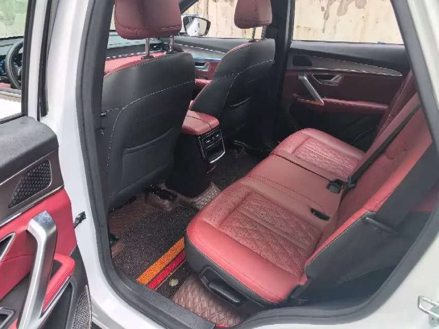 2024 DongFeng Forthing LingZhi Plus 2.0L 117HP L4 6MT,autocango,china used car exporter,china ev exporter,chinese used car exporter,chinese used ev exporter