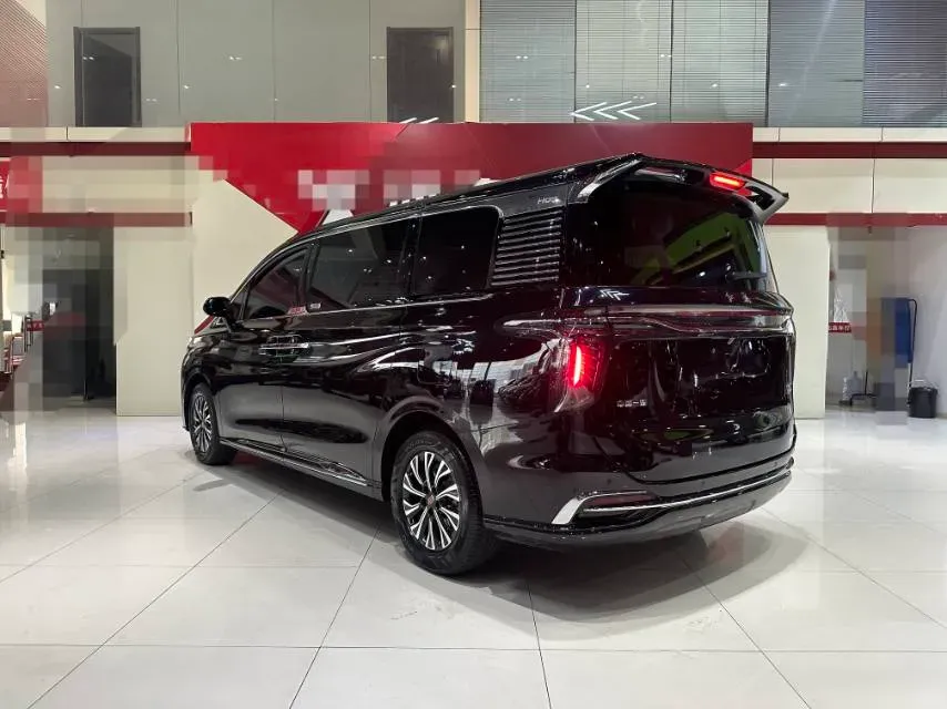 2024 HongQi HQ9 2.0T 163HP L4 1DHT PHEV 20.14KWH,autocango,china used car exporter,china ev exporter,chinese used car exporter,chinese used ev exporter