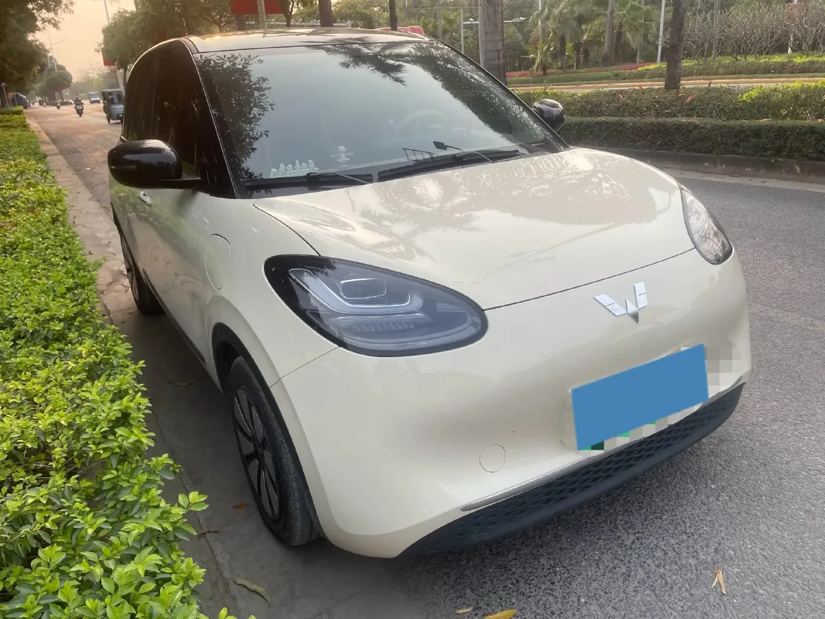2025 WuLing BinGuo BEV,autocango,china used car exporter,china ev exporter,chinese used car exporter,chinese used ev exporter