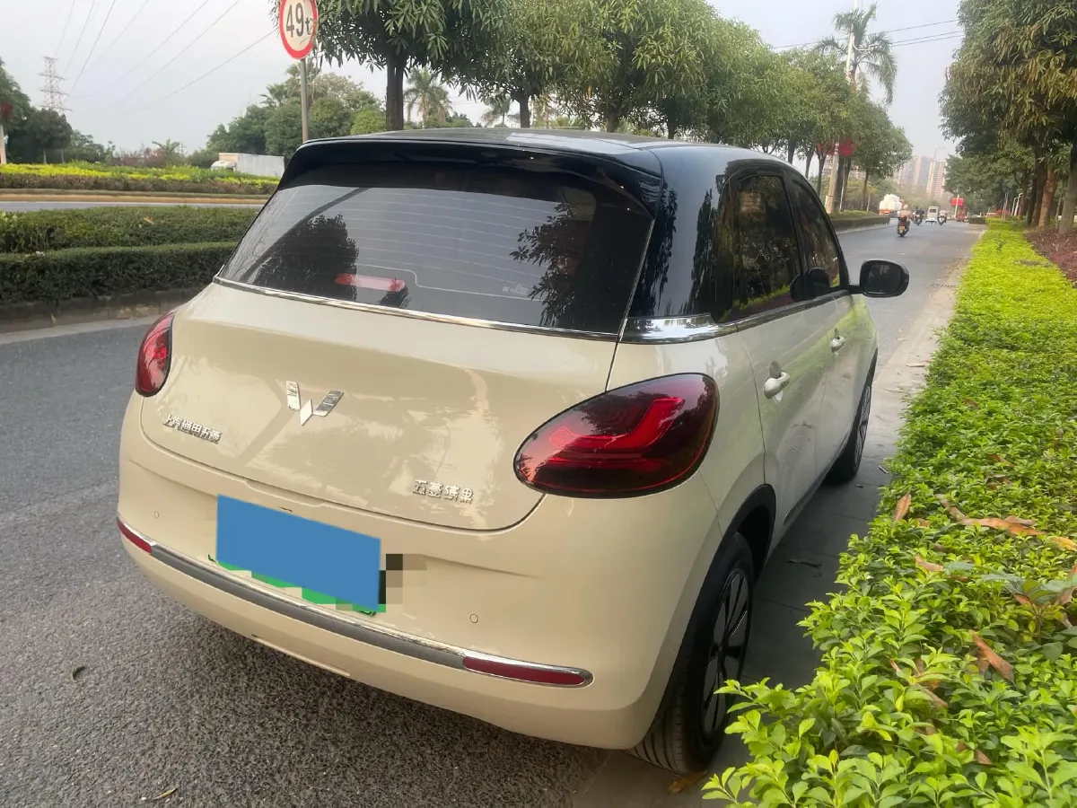 2025 WuLing BinGuo BEV,autocango,china used car exporter,china ev exporter,chinese used car exporter,chinese used ev exporter