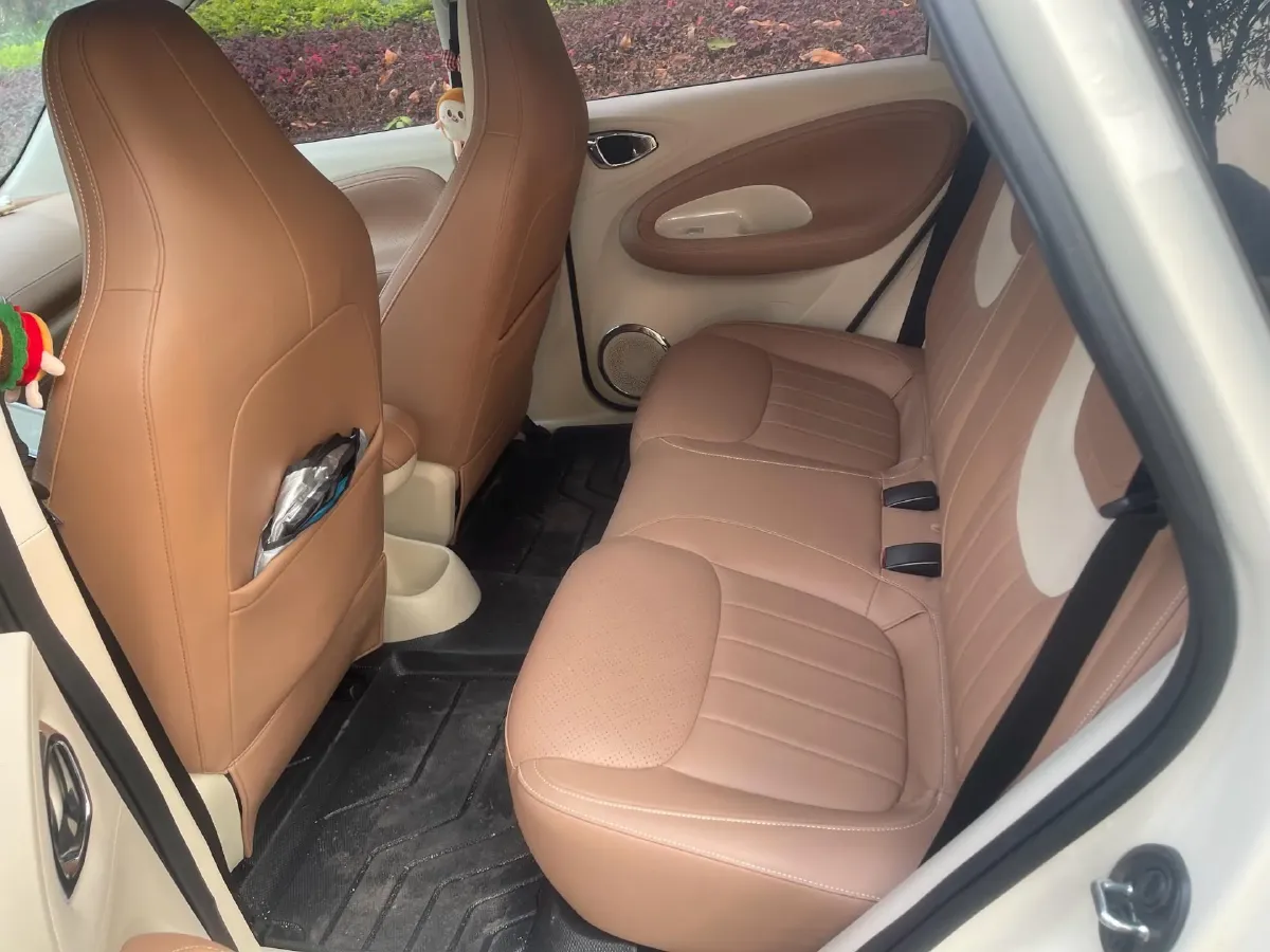 2025 WuLing BinGuo BEV,autocango,china used car exporter,china ev exporter,chinese used car exporter,chinese used ev exporter