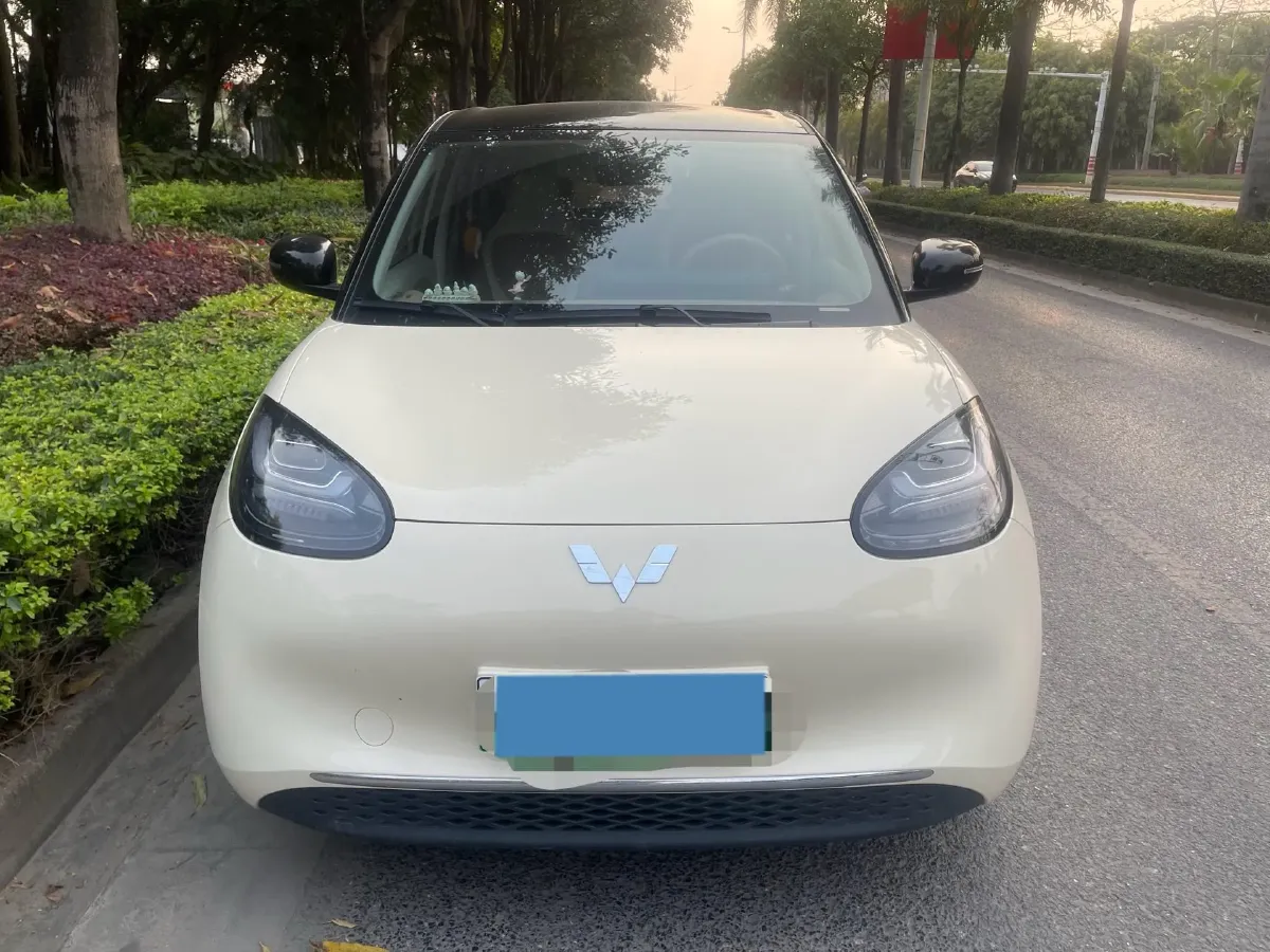 2025 WuLing BinGuo BEV,autocango,china used car exporter,china ev exporter,chinese used car exporter,chinese used ev exporter