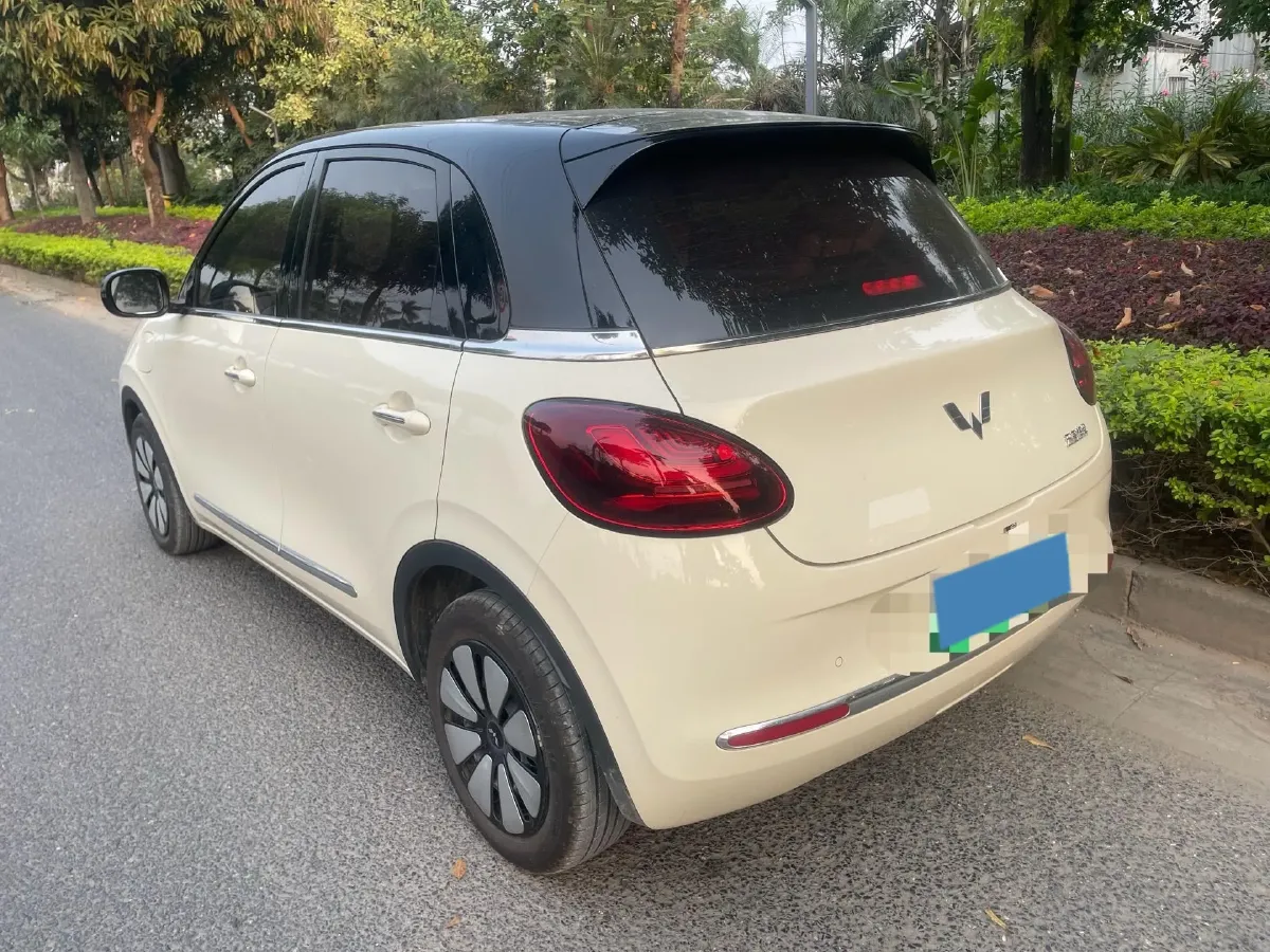 2025 WuLing BinGuo BEV,autocango,china used car exporter,china ev exporter,chinese used car exporter,chinese used ev exporter