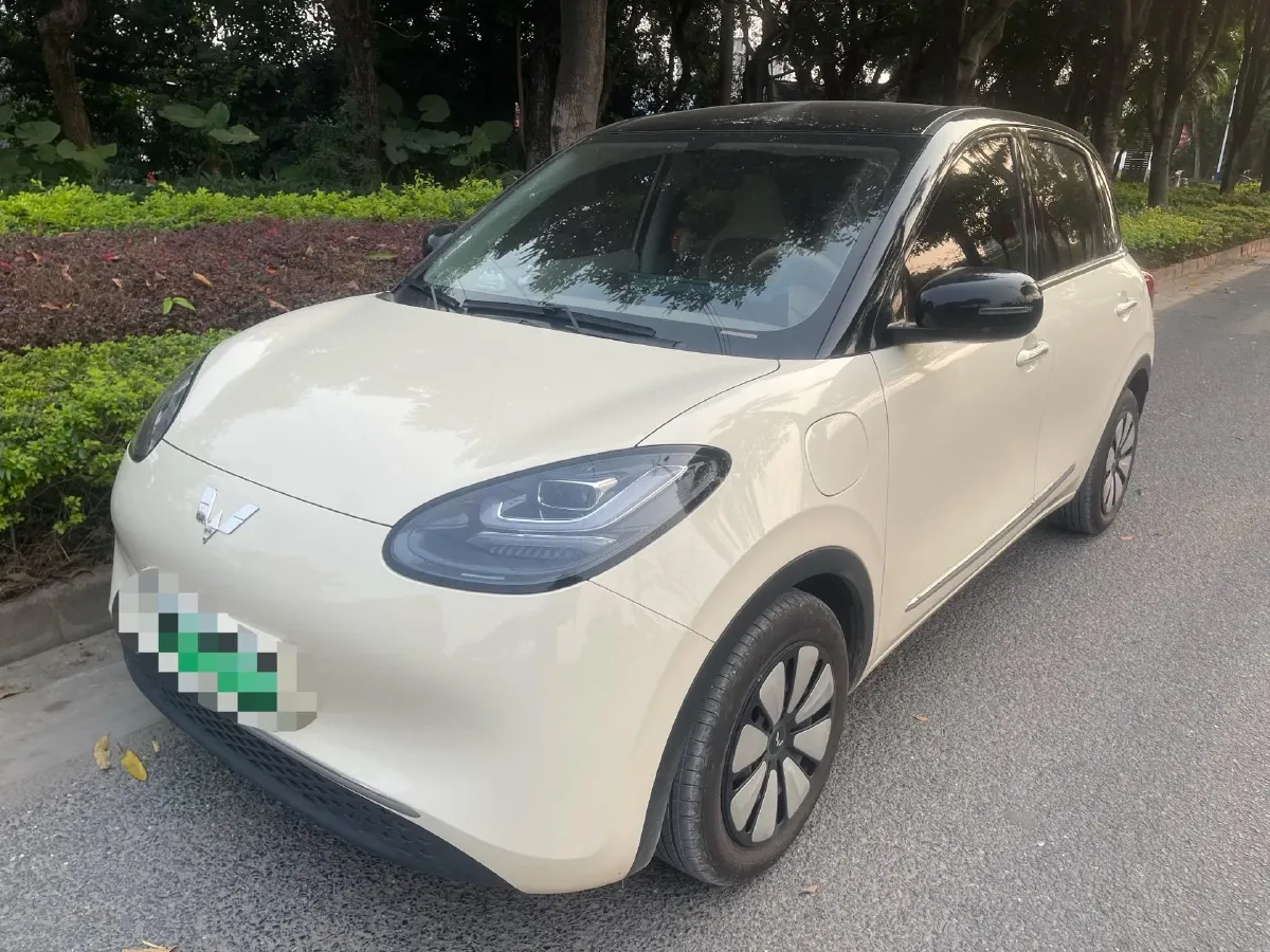2025 WuLing BinGuo BEV,autocango,china used car exporter,china ev exporter,chinese used car exporter,chinese used ev exporter