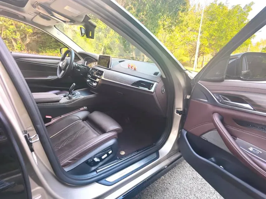 2020 BMW 5 Series 2.0T 252HP L4 8AT,autocango,china used car exporter,china ev exporter,chinese used car exporter,chinese used ev exporter