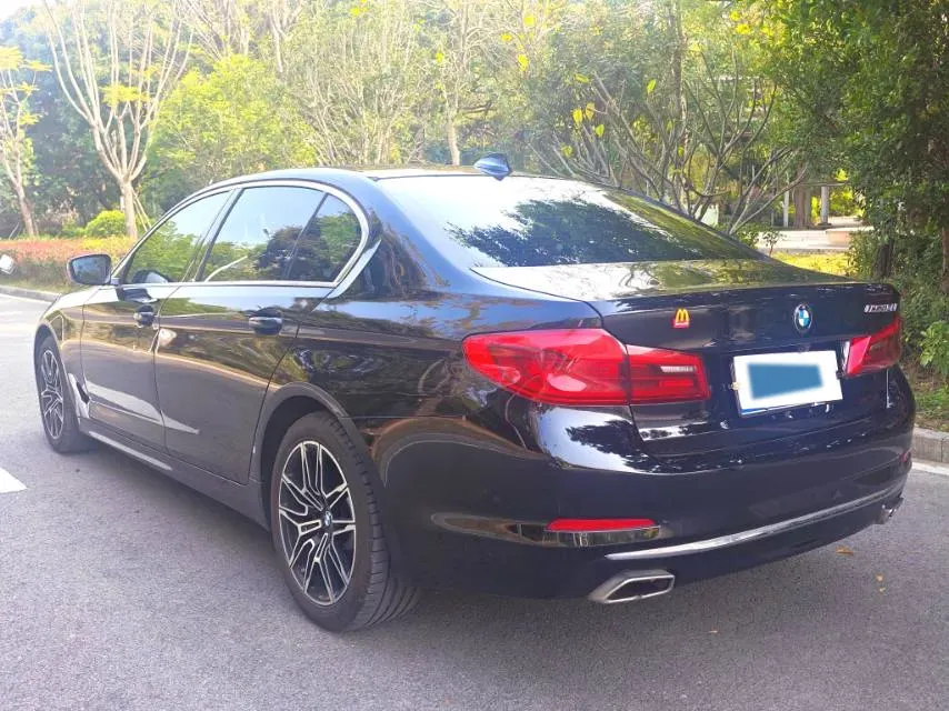 2020 BMW 5 Series 2.0T 252HP L4 8AT,autocango,china used car exporter,china ev exporter,chinese used car exporter,chinese used ev exporter