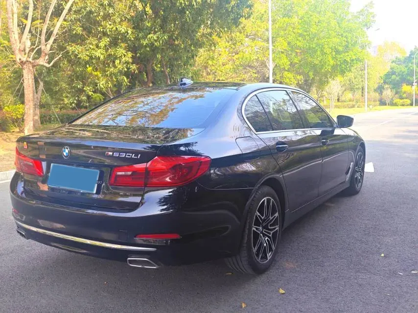 2020 BMW 5 Series 2.0T 252HP L4 8AT,autocango,china used car exporter,china ev exporter,chinese used car exporter,chinese used ev exporter