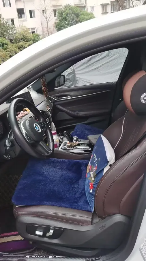 2022 BMW 5 Series 2.0T 252HP L4 8AT,autocango,china used car exporter,china ev exporter,chinese used car exporter,chinese used ev exporter