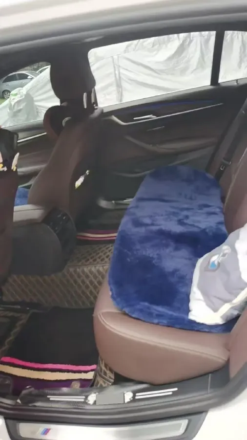 2022 BMW 5 Series 2.0T 252HP L4 8AT,autocango,china used car exporter,china ev exporter,chinese used car exporter,chinese used ev exporter