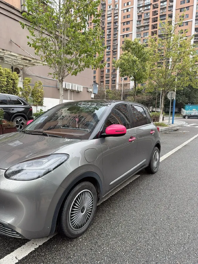 2023 WuLing BinGuo BEV 37.9KWH,autocango,china used car exporter,china ev exporter,chinese used car exporter,chinese used ev exporter