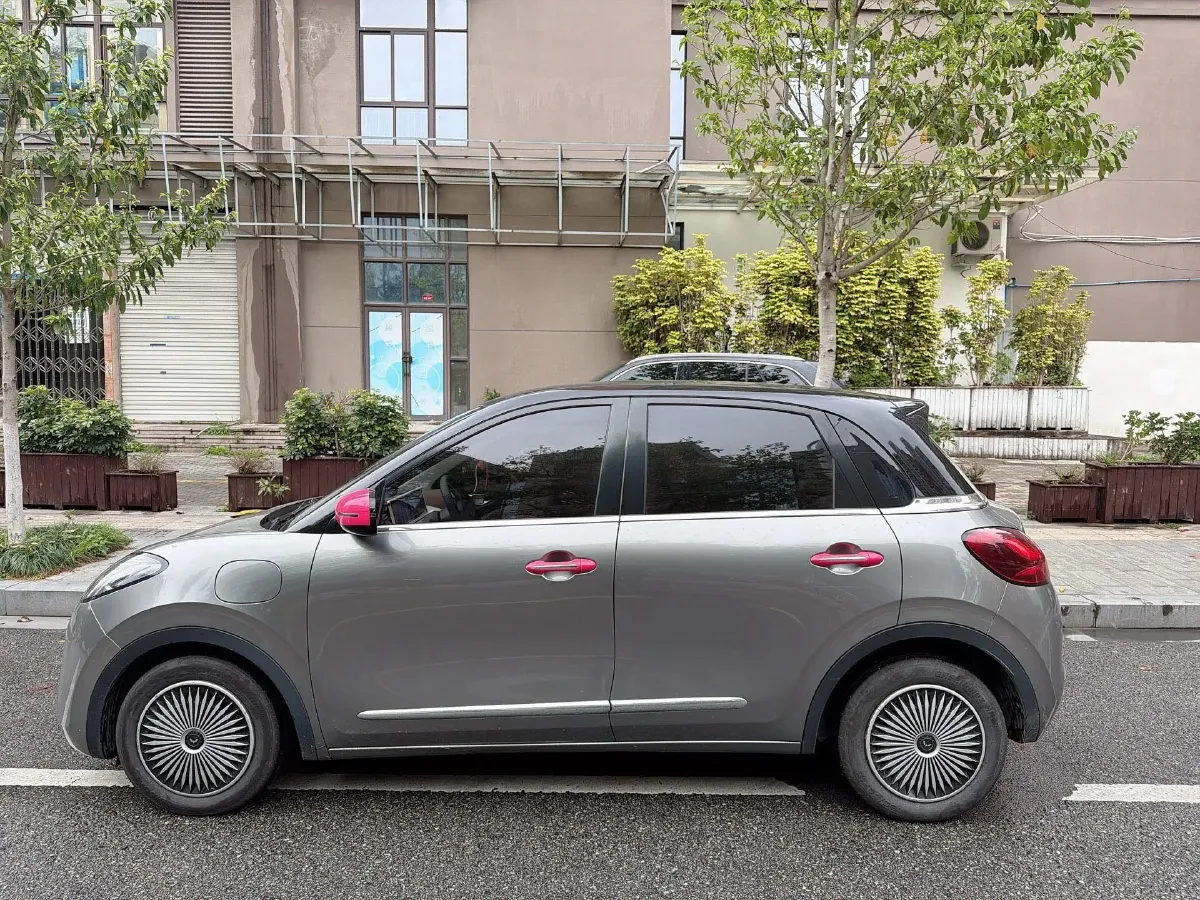 2023 WuLing BinGuo BEV 37.9KWH,autocango,china used car exporter,china ev exporter,chinese used car exporter,chinese used ev exporter