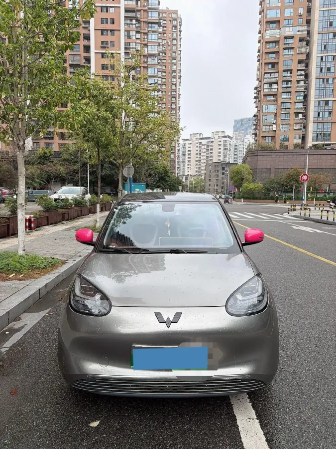 2023 WuLing BinGuo BEV 37.9KWH,autocango,china used car exporter,china ev exporter,chinese used car exporter,chinese used ev exporter