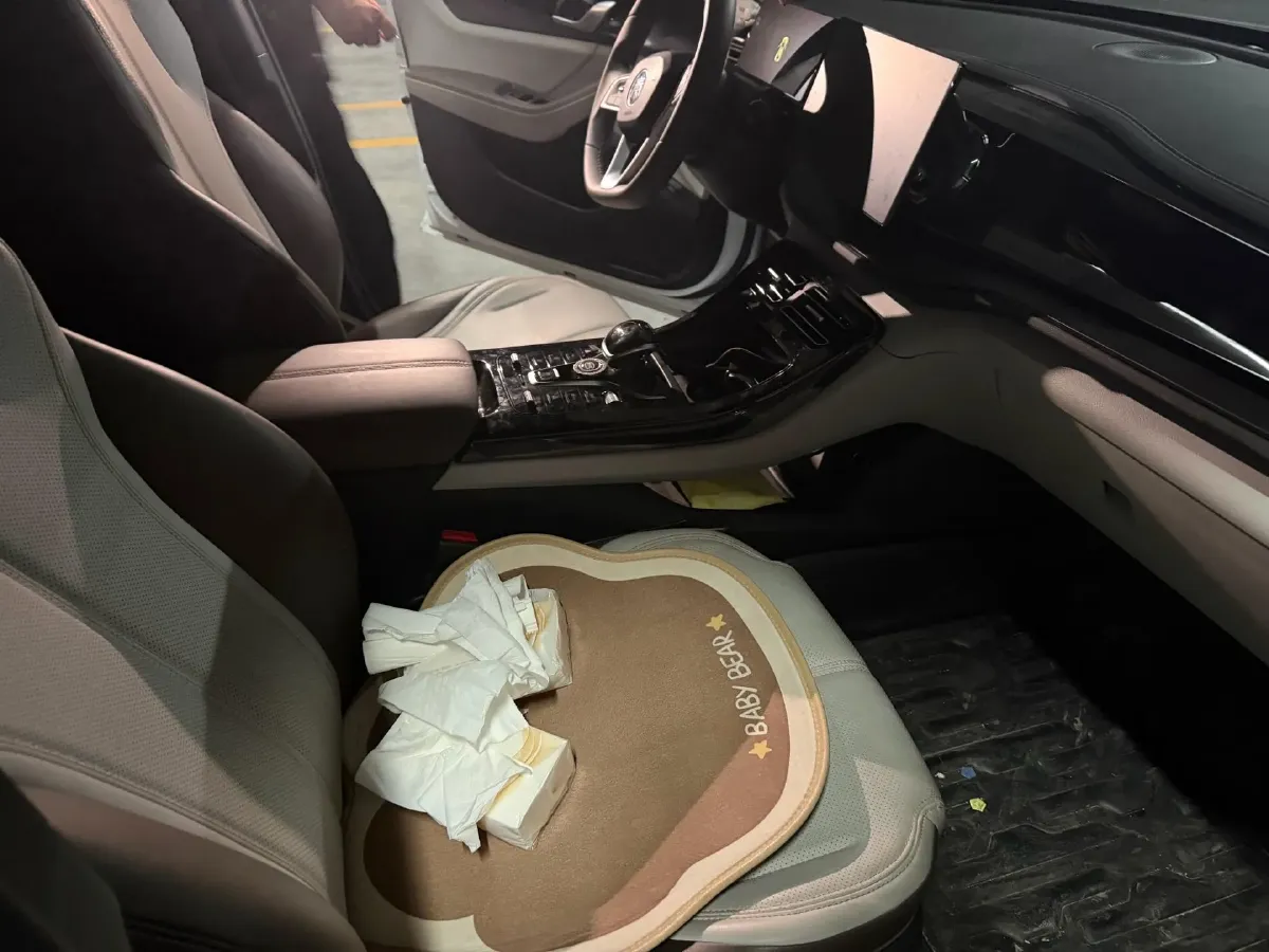 2024 BYD Qin Plus 1.5L 110HP L4 E-CVT PHEV 8.32KWH,autocango,china used car exporter,china ev exporter,chinese used car exporter,chinese used ev exporter