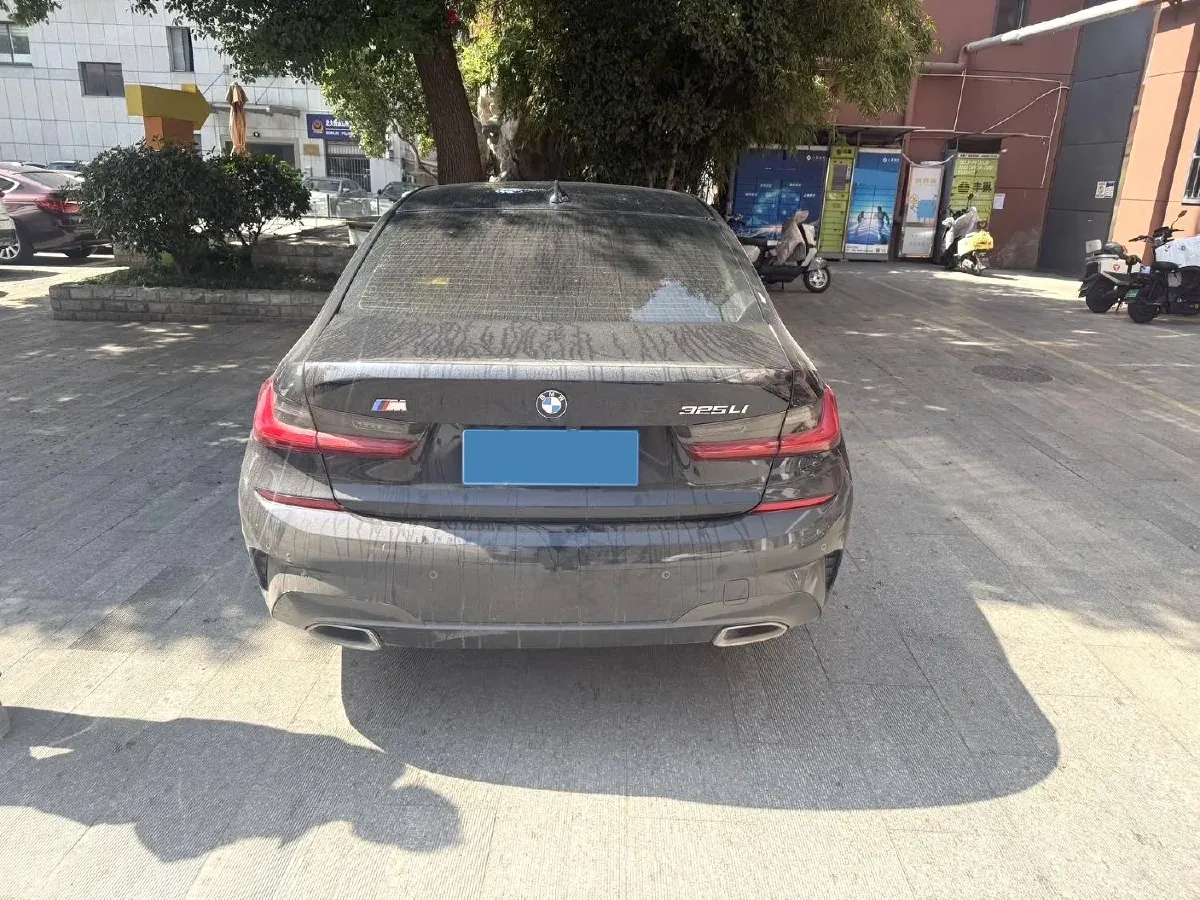 2021 BMW 3 Series 2.0T 156HP L4 8AT,autocango,china used car exporter,china ev exporter,chinese used car exporter,chinese used ev exporter