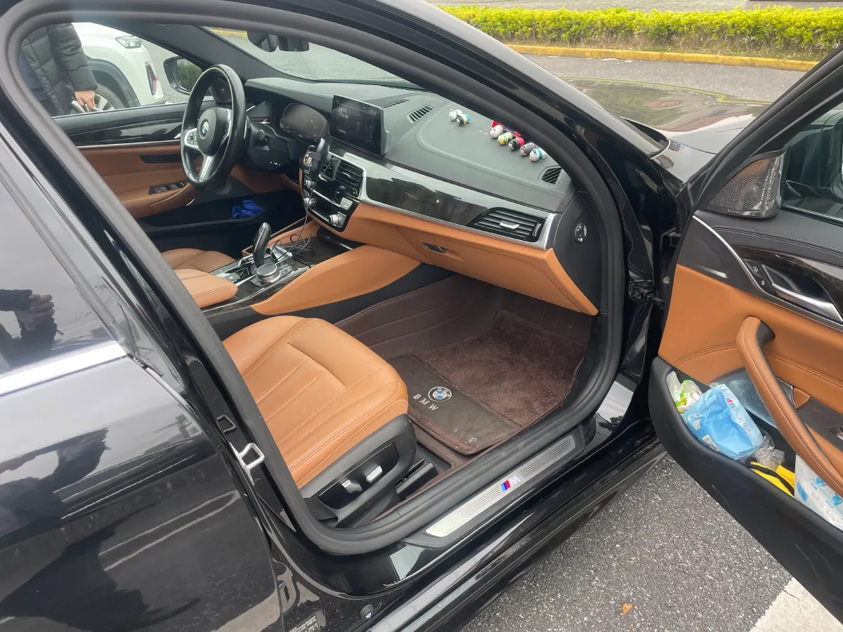 2020 BMW 5 Series 2.0T 252HP L4 8AT,autocango,china used car exporter,china ev exporter,chinese used car exporter,chinese used ev exporter