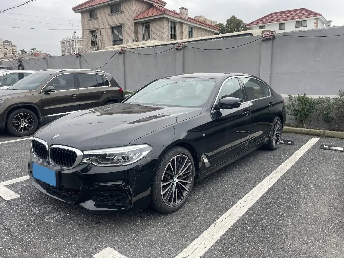 2020 BMW 5 Series 2.0T 252HP L4 8AT,autocango,china used car exporter,china ev exporter,chinese used car exporter,chinese used ev exporter