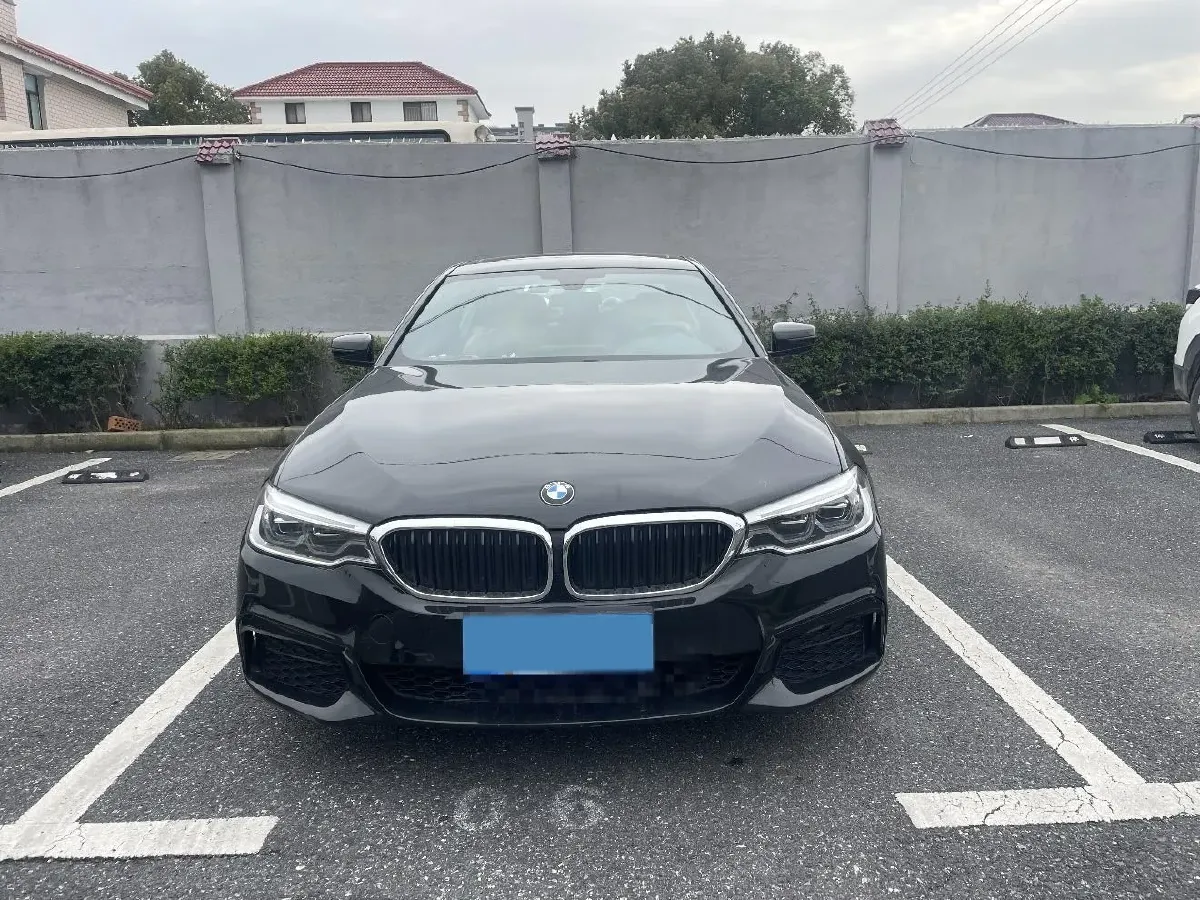 2020 BMW 5 Series 2.0T 252HP L4 8AT,autocango,china used car exporter,china ev exporter,chinese used car exporter,chinese used ev exporter