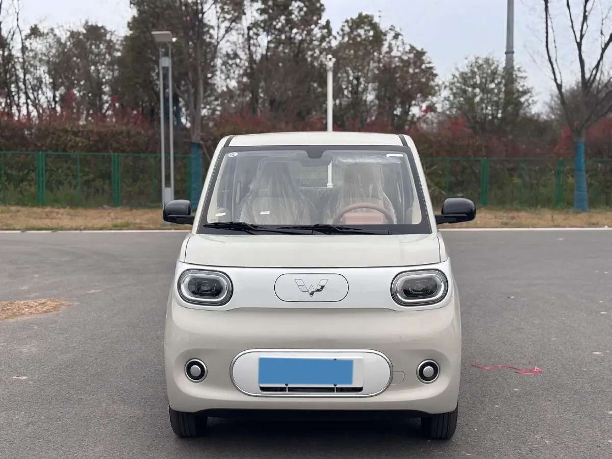 2024 WuLing HongGuang MINI EV BEV 17.3KWH,autocango,china used car exporter,china ev exporter,chinese used car exporter,chinese used ev exporter