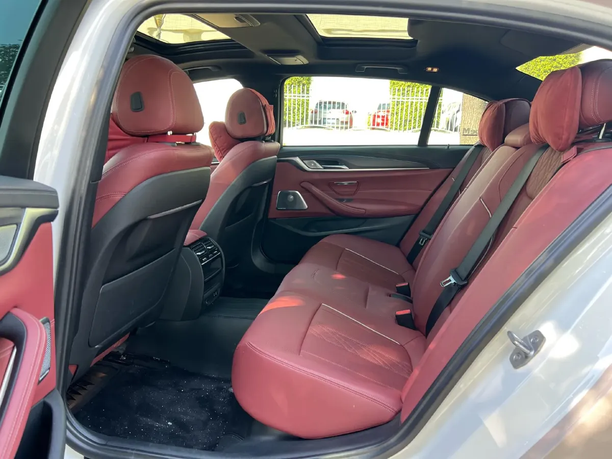 2021 BMW 5 Series 2.0T 252HP L4 8AT,autocango,china used car exporter,china ev exporter,chinese used car exporter,chinese used ev exporter