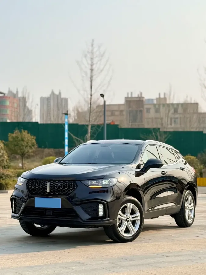 2020 WEY VV5 1.5T 171HP L4 7DCT,autocango,china used car exporter,china ev exporter,chinese used car exporter,chinese used ev exporter