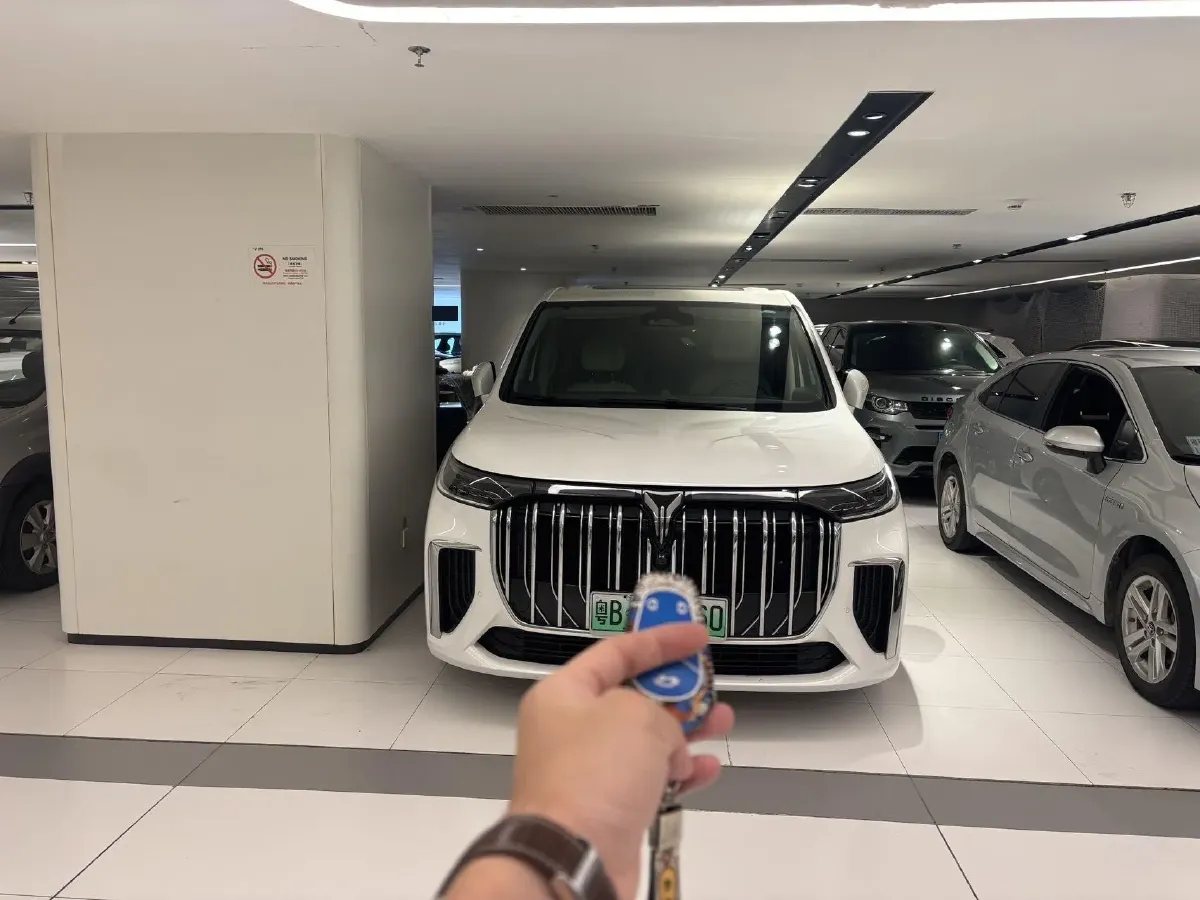 2022 Voyah Dream 1.5T 136HP L4 PHEV 25.57KWH,autocango,china used car exporter,china ev exporter,chinese used car exporter,chinese used ev exporter