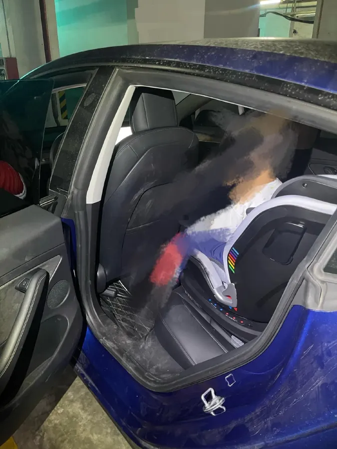 2021 Tesla Model 3 BEV 55KWH,autocango,china used car exporter,china ev exporter,chinese used car exporter,chinese used ev exporter