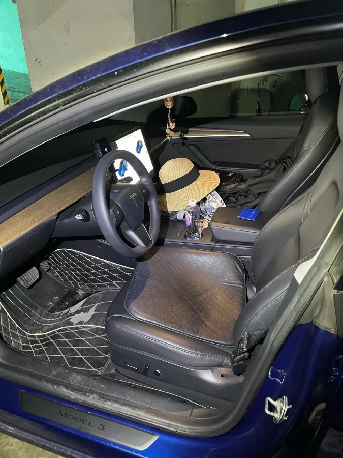 2021 Tesla Model 3 BEV 55KWH,autocango,china used car exporter,china ev exporter,chinese used car exporter,chinese used ev exporter