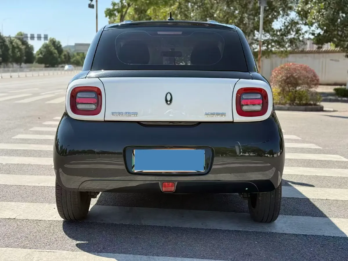 2022 Ora BlackCat BEV 30.3KWH,autocango,china used car exporter,china ev exporter,chinese used car exporter,chinese used ev exporter