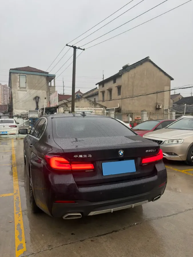 2021 BMW 5 Series 2.0T 252HP L4 8AT,autocango,china used car exporter,china ev exporter,chinese used car exporter,chinese used ev exporter