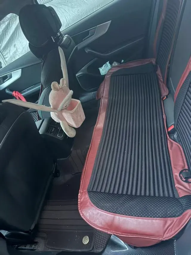 2020 Audi A4L 2.0T 190HP L4 7DCT,autocango,china used car exporter,china ev exporter,chinese used car exporter,chinese used ev exporter