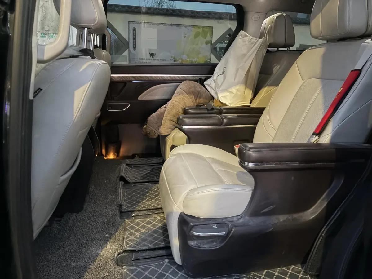 2021 GAC Trumpchi M8 2.0T 252HP L4 8AT,autocango,china used car exporter,china ev exporter,chinese used car exporter,chinese used ev exporter