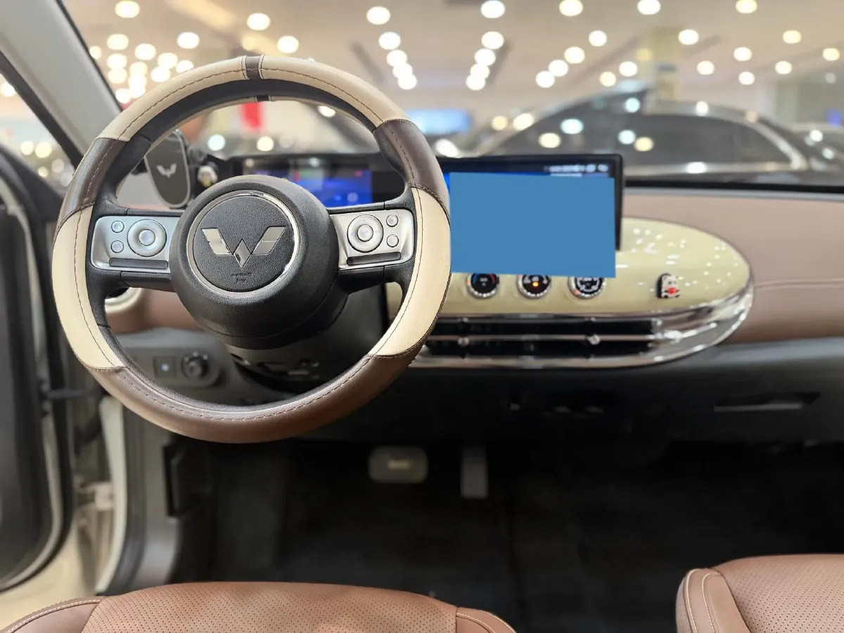 2023 WuLing BinGuo BEV 17.3KWH,autocango,china used car exporter,china ev exporter,chinese used car exporter,chinese used ev exporter