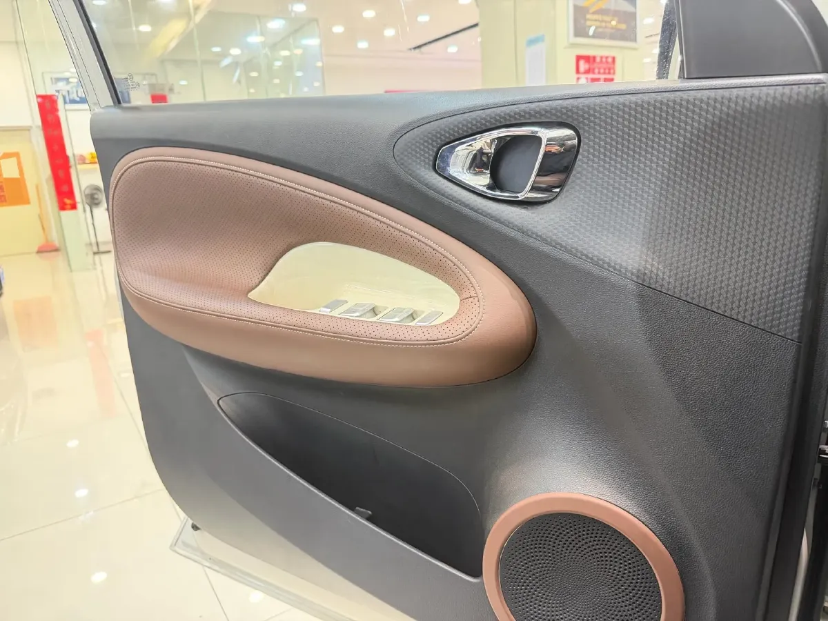 2023 WuLing BinGuo BEV 17.3KWH,autocango,china used car exporter,china ev exporter,chinese used car exporter,chinese used ev exporter