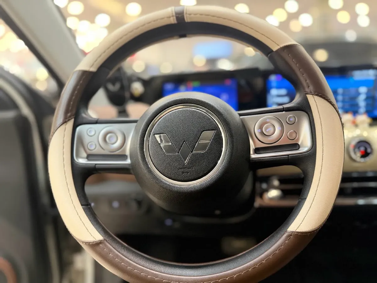 2023 WuLing BinGuo BEV 17.3KWH,autocango,china used car exporter,china ev exporter,chinese used car exporter,chinese used ev exporter