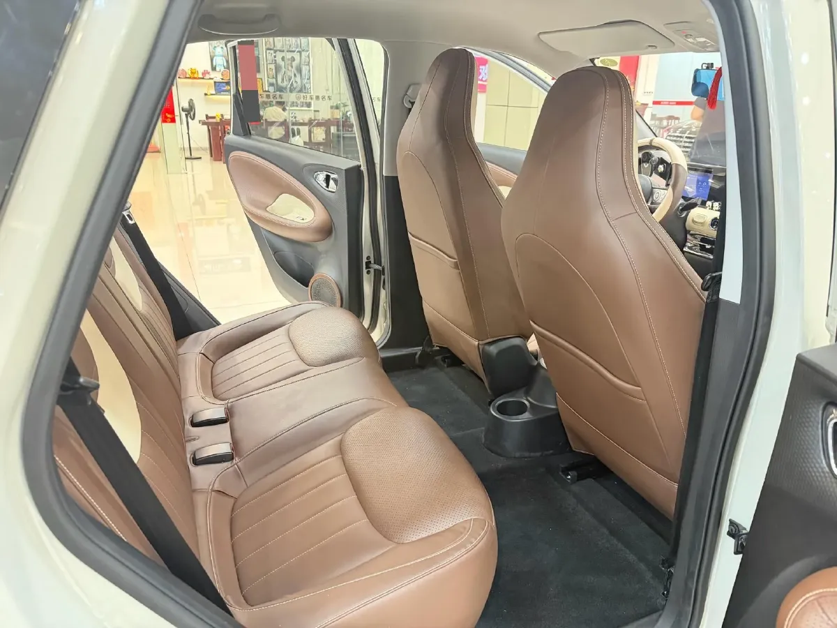 2023 WuLing BinGuo BEV 17.3KWH,autocango,china used car exporter,china ev exporter,chinese used car exporter,chinese used ev exporter