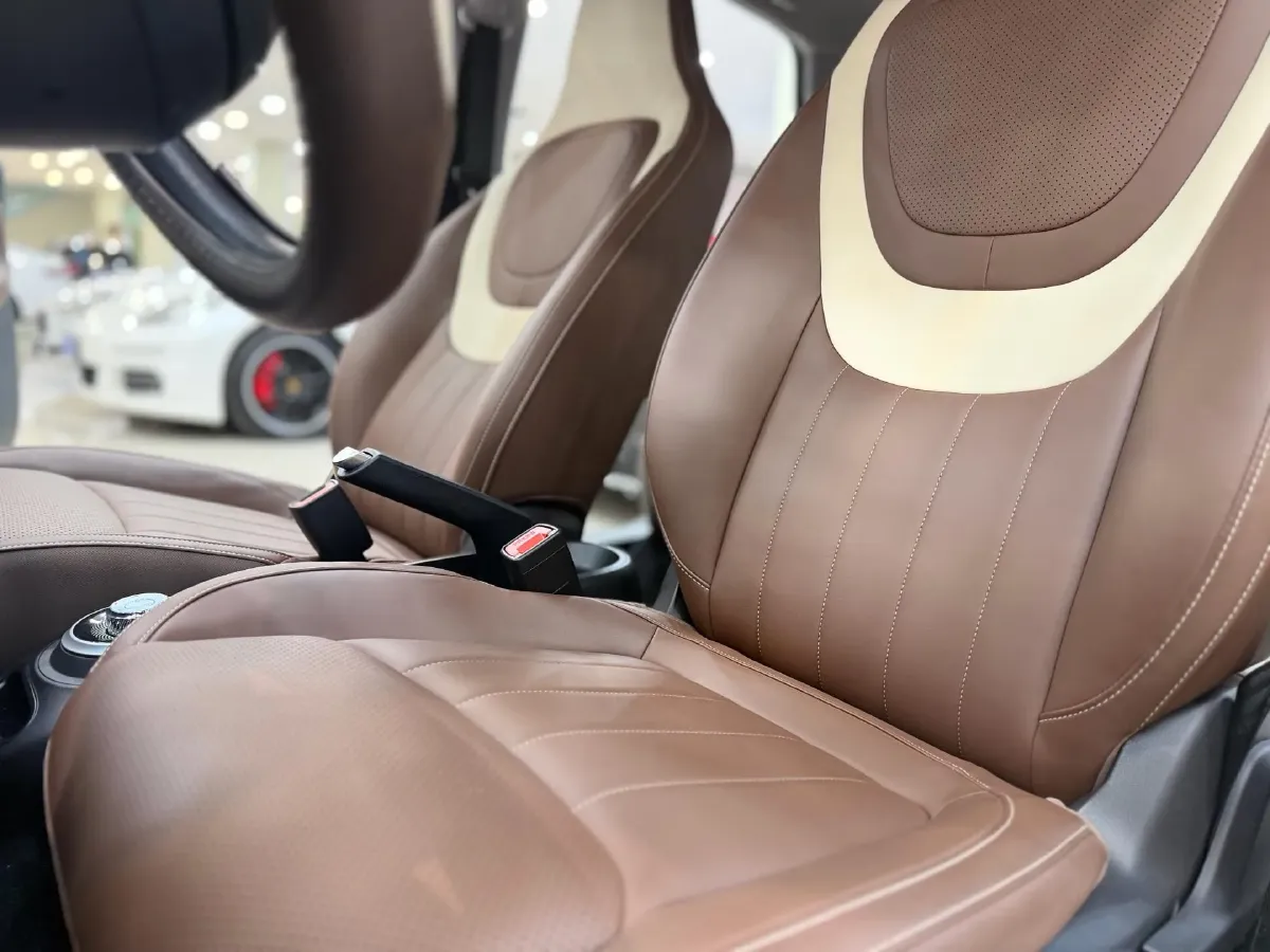 2023 WuLing BinGuo BEV 17.3KWH,autocango,china used car exporter,china ev exporter,chinese used car exporter,chinese used ev exporter